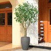 DR.Planzen 8ft UV Resistant Artificial Ficus Tree with Grey Tall Planter, Big Fake Ficus Tree for Indoor Outdoor Home Decor - 4 of 4