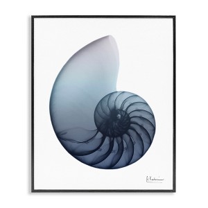Stupell Industries Contemporary Nautilus Shell, 11" x 14" - 1 of 4