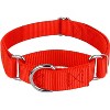 Country Brook Design Martingale Heavyduty Nylon Dog Collar - 4 of 4