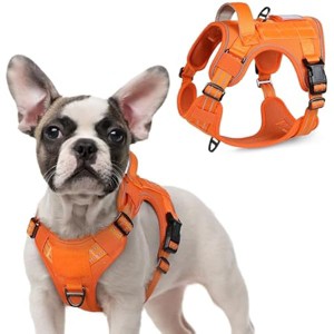 rabbitgoo Tactical Dog Harness for Small Dogs, No Pull Military Service Vest with Handle & Molle,  Straps, Orange, S - 1 of 1