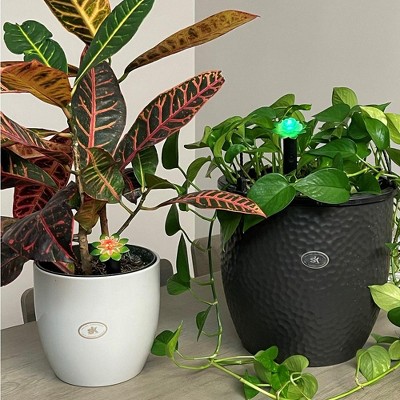 Digital Water-Resistant Plant Moisture Sensor Kit, Black