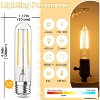 Runesay Dimmable Tubular Light Bulbs 40Watt, 4W E26 T10 LED Type T Bulbs, 2700K Warm White Long Edison Light Bulbs, 400Lumens, 4.96 inches ,2Pcs - 2 of 4
