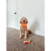 Midlee Find a Toy Halloween Pumpkin Bucket Dog Toy - 3 of 4