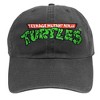 Teenage Mutant Ninja Turtles Logo Adult Dad Cap Charcoal OS - 2 of 4
