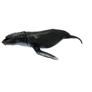 Collectible Wildlife Gifts | Humpback Whale, Marine Mammal, Hand Painted, Museum Quality, Beautiful Rubber Animal,   Toy , Gift,     11"   CH159 BB110 - 1 of 4
