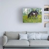 Trademark Fine Art - Joanne Porter Horses in a Pasture Canvas Art - 2 of 4