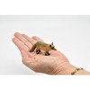 Red Fox, Canidae, Vulpes vulpes, Hand Painted, Very Nice Plastic Design, Caninds, Animal, Model, Toy,  3 Inches.   CWG174 BB41 - 3 of 4