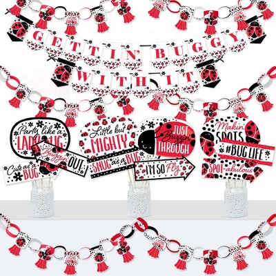 Big Dot of Happiness Happy Little Ladybug - Banner and Photo Booth Decorations - Baby Shower or Birthday Party Supplies Kit - Doterrific Bundle