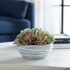 Uttermost Peoria Succulent Accent - 2 of 4
