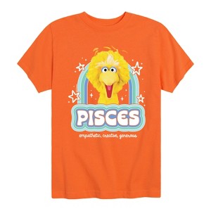 Boys' - Sesame Street - Pisces Big Bird Short Sleeve Graphic T-Shirt - 1 of 4