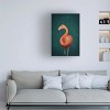 Canvas Wall Art - Aureous   'Green Flamingo' Wall Art for Living Room, Bedroom, or Office Décor by Trademark Fine Art - 3 of 4