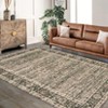 Coolmee Washable Area Rugs Vintage Retro Boho Rug Non Slip Low Pile for Living Room Bedroom Indoor Dining Room  s Room and OfficeGray - 4 of 4