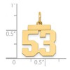 Black Bow Jewelry 14k Yellow Gold, Athletic Collection, Small Polished Number 53 Pendant - 4 of 4