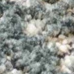 taupe, off white, teal, medium gray, mustard, light gray