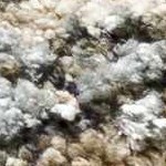 taupe, off white, teal, medium gray, mustard, light gray