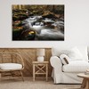 Stupell Industries Fallen Leaves on Stream Canvas Art - 3 of 4