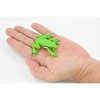 Collectible Wildlife Gifts | Green Tree Frog, Hand Painted, Amphibian, Hard Rubber, Realistic Frog, Model,  Toy, Gift,       2 1/4"    F4401 B9 - 3 of 4