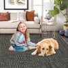 Modern Braided Print Area Rug Machine Washable Rug Stain Resistant Indoor Carpet With Non-Slip Backing Non Shedding Low Pile Floor Cover - 4 of 4