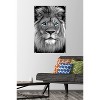 Trends International Reinders: Animals - Blue Eyed Lion Unframed Wall Poster Prints - 2 of 4