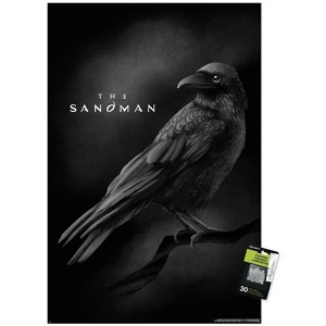 Trends International DC The Sandman (2022) - Matthew The Raven Unframed Wall Poster Prints - 1 of 4