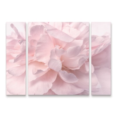 Large Pale Pink Peony Petals Multi Panel Canvas Art Set