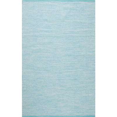 Aqua Blue Handwoven Cotton 4' x 6' Area Rug