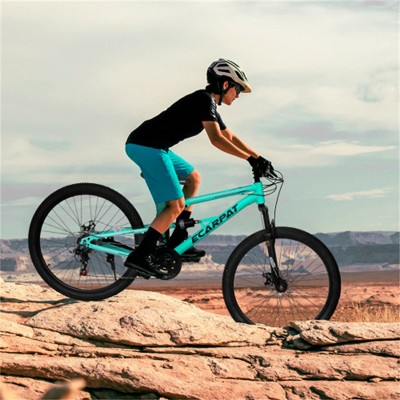 VASIP 26" Mountain Bike, 21 Speeds Steel Mountain Bike, Disc Brakes and Dual/Full Suspension MTB, Adult Sport Bicycle for Trail, Snow, Commuter(Blue)