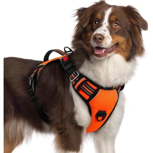 rabbitgoo Dog Harness Medium Sized, , Easy Walking Harness with 2 Leash Clips, Orange, XL - 1 of 1
