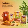 Yogi Tea Pure Green Tea - 96 ct  - 6 Packs - 3 of 3