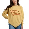 Simply Sage Market Pumpkin Vibes Stars Garment Dyed Long Sleeve - 2 of 4