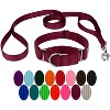 Country Brook Design Martingale Heavyduty Nylon Dog Collar and Double Handle Leash - 4 of 4