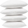 Covers&All Throw Pillow Inserts, Durable Soft 65 GSM Non-Woven Fabric with 15D Silicon Fiber Filling - 2 of 4