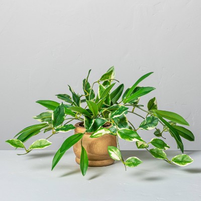 7" Mini Faux Hoya Potted Plant - Hearth & Hand™ with Magnolia