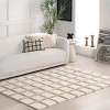 Nuloom Christabel Checkered High-Low Shag Area Rug - 2 of 4
