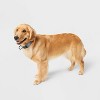 Fashion Adjustable Length and Reinforced Stitching Dog Collar - Blue - Boots & Barkley™ - 3 of 3