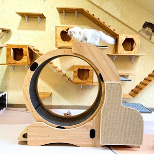 Cat Running Wheel For Large Cat Up To 44Lbs,  Cat Exercise Wheel With Silent Wheel-Cuddlewood - 1 of 4