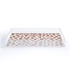 Ninola Design Strawberries Countryside Summer Acrylic Tray - Deny Designs - 2 of 4