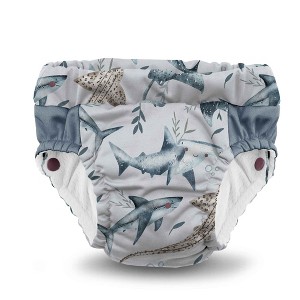 Kanga Care Lil Learnerz 2.0 Reusable Potty Training Pant & Swim Diaper for Toddler Boy and Girl S-XXL - 1 of 4