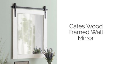 Cates Rustic Gray Wood Framed Full-Length Barn Door Mirror