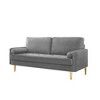 TiramisuBest 65" Velvet Sofa, Plush Upholstered Couch for Living Room or Bedroom (Grey) - 2 of 4