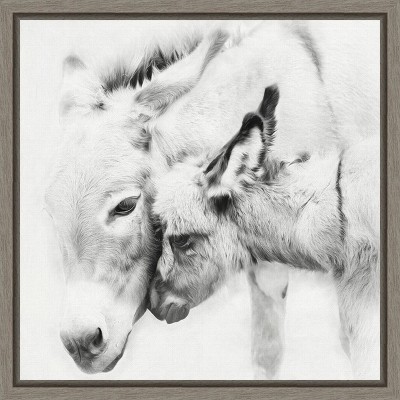 Amanti Art Donkey Portrait III by PHBurchett Canvas Wall Art Print Framed 16 x 16-in.