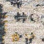 charcoal, teal, gray, mustard, dusty sage, light gray