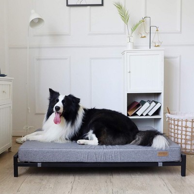 Large Gray Elevated Outdoor Dog Bed with Orthopedic Foam Mattress