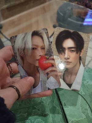 ENHYPEN - THE SIN : VANISH (FUGITIVES Ver.) (CD) : Target