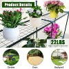 Acekool Walk-in Greenhouse with Roll-Up Zipper Door, 57 x 57 x 76 Inch Portable Indoor Outdoor Greenhouse, 3-Tier 6 Shelves for Garden Patio Backyard - 3 of 4