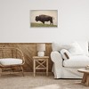 Stupell Industries Serene Buffalo on Country Hill, White, 24" x 16" - 3 of 4