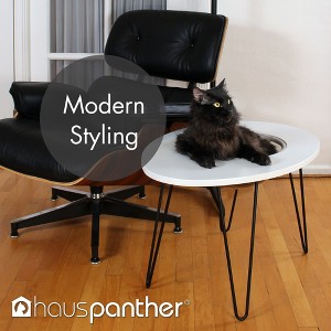 Hauspanther NestEgg - Raised Cat Bed & Side Table by Primetime Petz - 1 of 4