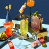 Thoughtfully Cocktails, Global Cocktail Mixer Set, Vegan and Vegetarian, Flavors Margarita, Moscow Mule and More, Set of 12 (Contains NO Alcohol) - 4 of 4