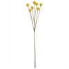 Sullivans Artificial Billy Button Stem 24"H Yellow - 2 of 2