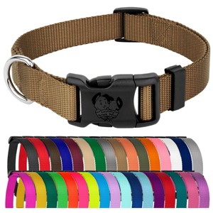 Country Brook Petz Everyday Nylon Dog Collar - 1 of 4